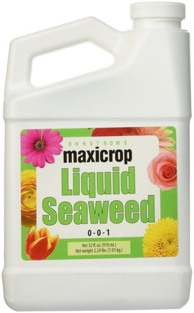 Maxicrop Liquid Seaweed bottle front shows pure kelp extract for plant growth