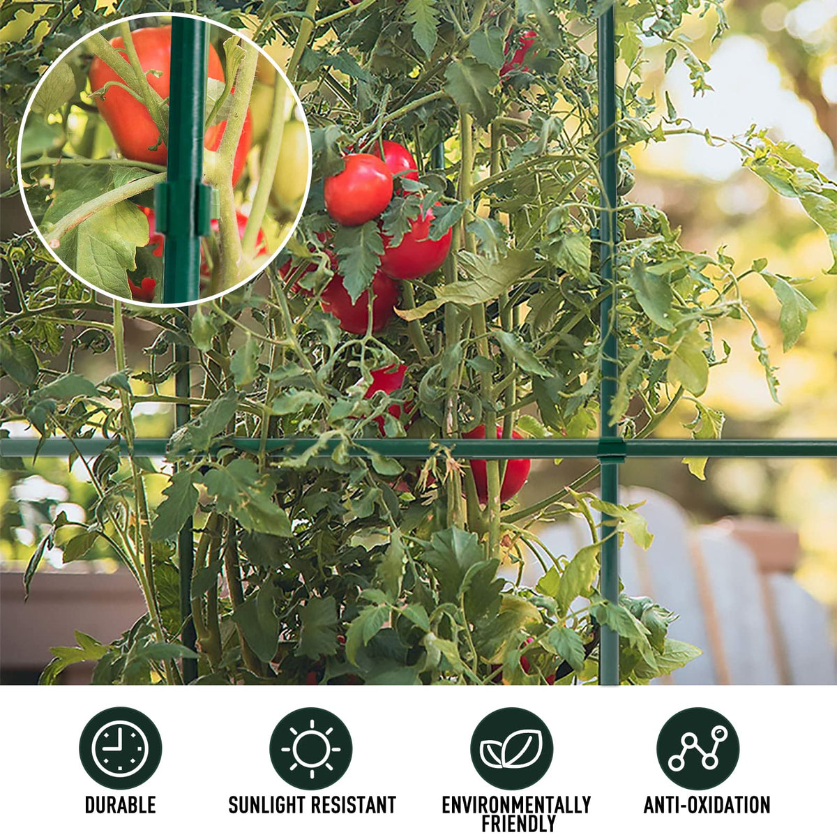MAXPACE cucumber post stake ready to guide climbing plants