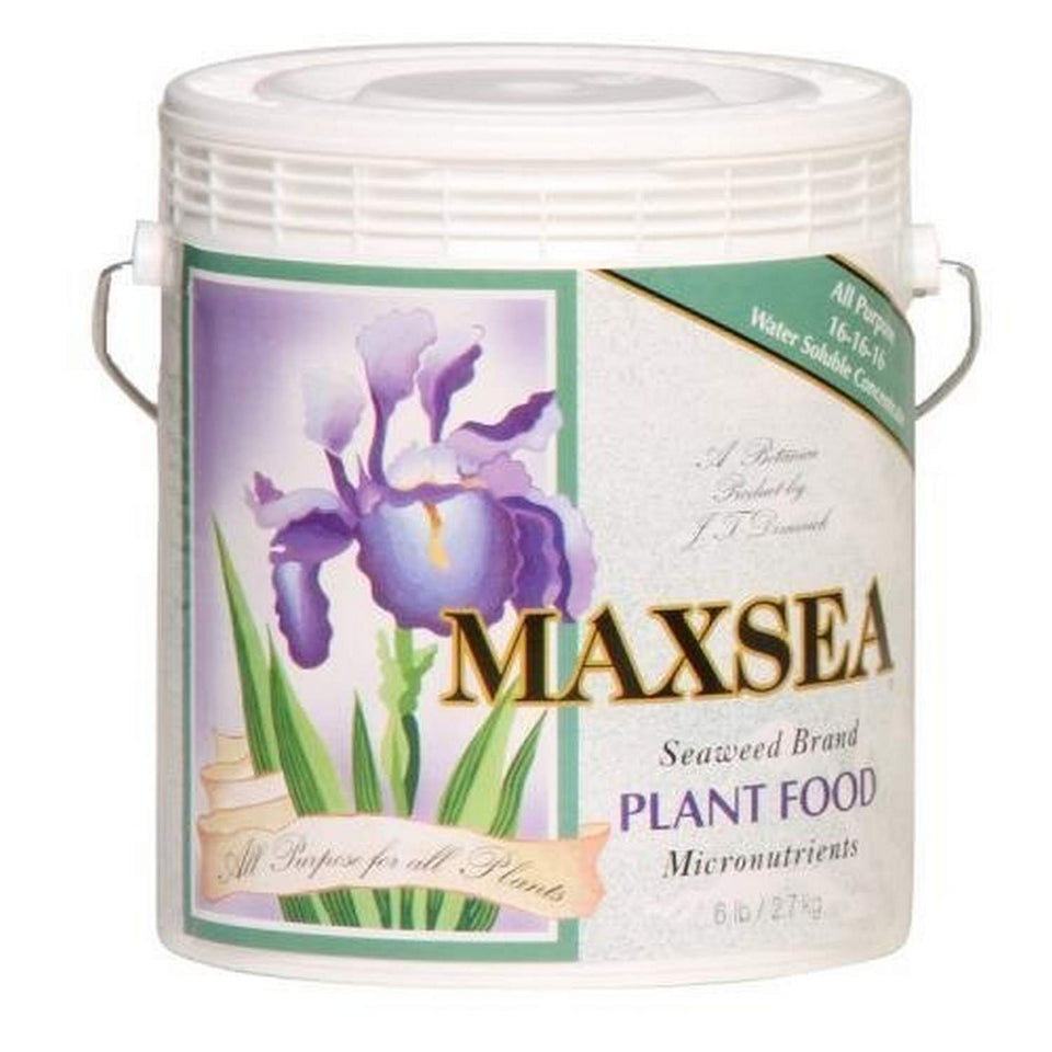 Maxsea All Purpose 16-16-16 plant food bag for year-round feeding of indoor and outdoor plants.