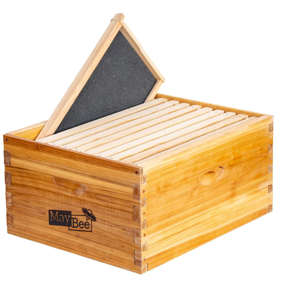 MayBee 10-frame Langstroth beehive box with cedar finish and beeswax coating for durability