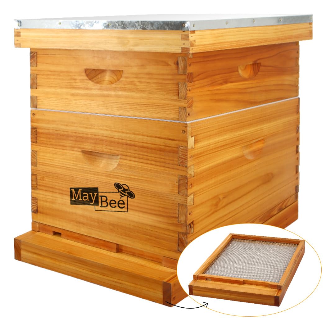 MayBee 10-frame hive exterior with cedar wood and screened bottom board for airflow