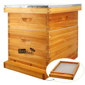 MayBee 10-frame hive exterior with cedar wood and screened bottom board for airflow