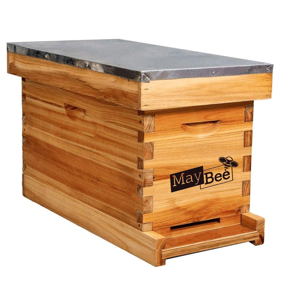 MayBee 5-frame nuc box beehive for compact, scalable colony setup