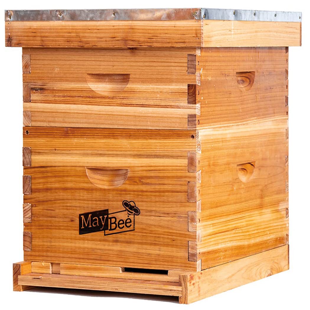 MayBee beehive exterior shows sturdy cedarwood for a durable beginner setup.