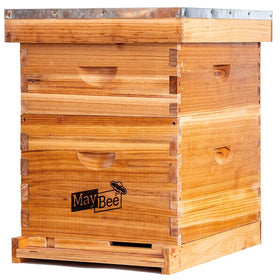MayBee beehive exterior shows sturdy cedarwood for a durable beginner setup.