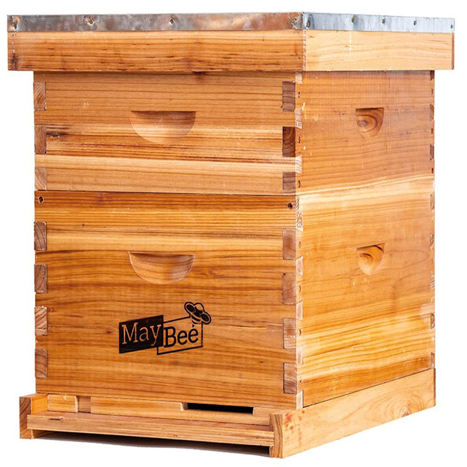 MayBee beehive exterior shows sturdy cedarwood for a durable beginner setup.