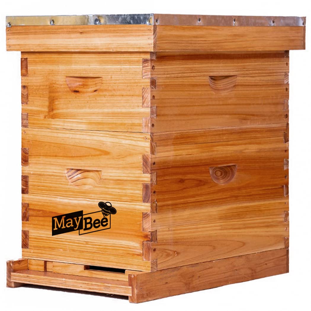 MayBee Beehive 8-Frame Starter Kit front view for easy beginner setup.