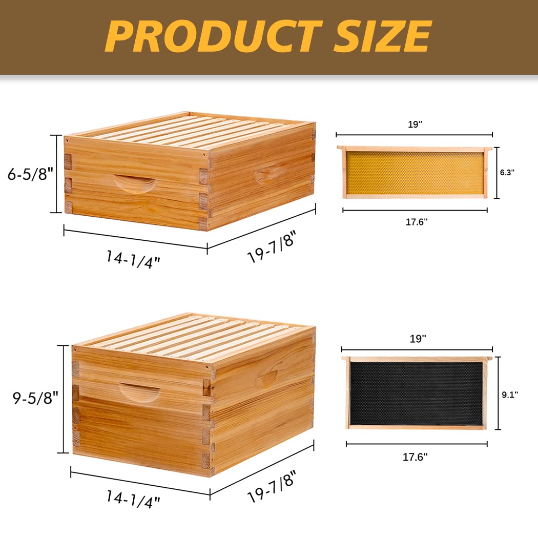 MayBee Beehive bottom board with entrance reducer for simple hive access.