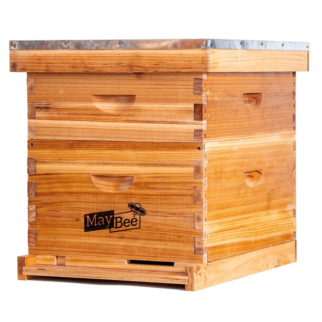MayBee bottom board and entrance reducer simplify cleaning and bee access control.