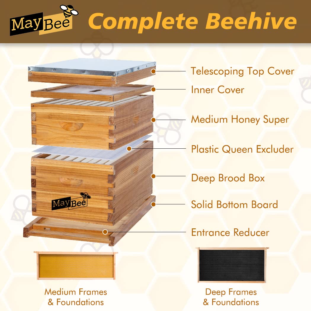 MayBee Beehive deep brood box interior view highlighting sturdy wood construction.