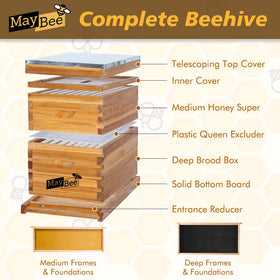 MayBee Beehive deep brood box interior view highlighting sturdy wood construction.