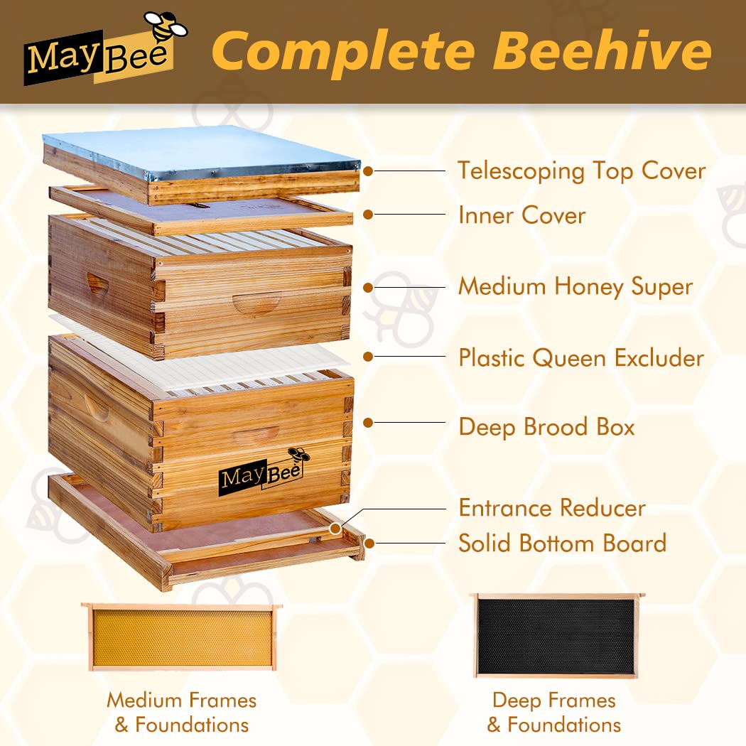 MayBee frames and foundations inside support easy frame placement.