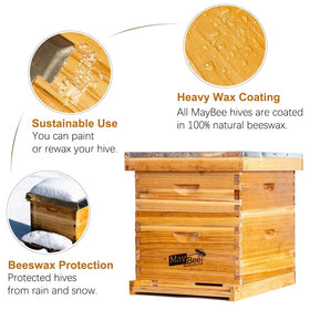 MayBee Beehive super with frames and foundation shows ready-to-use honey space.