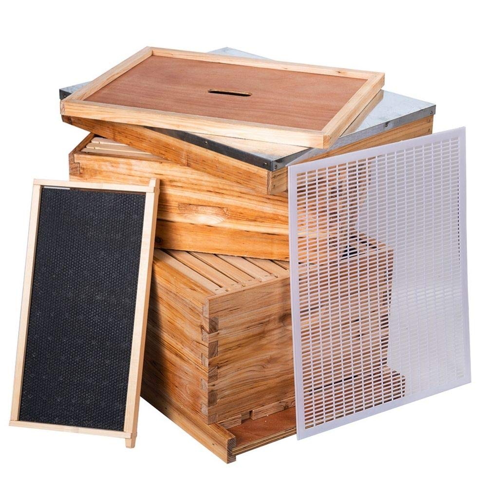 MayBee Beehive wax-coated foundation and cedarwood frames for durable, safe colony habitat.