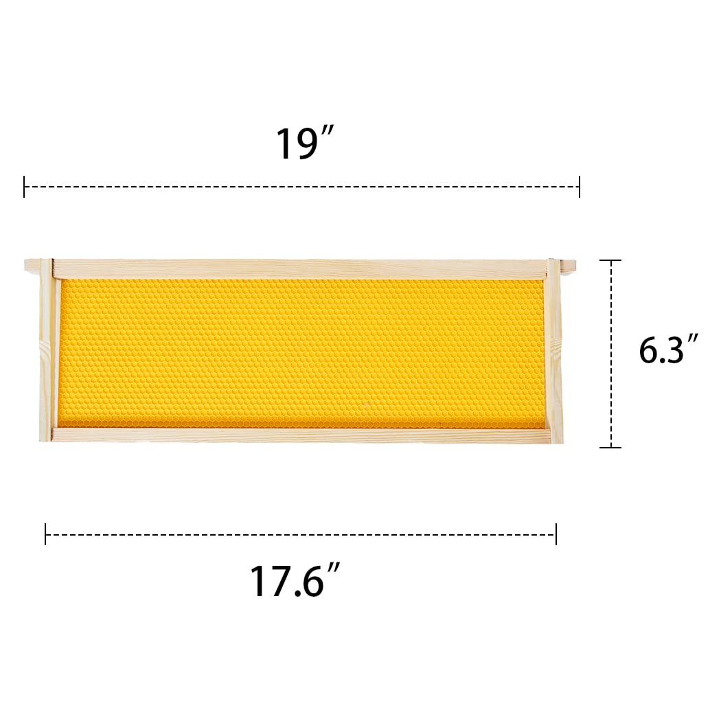 MayBee beeswax coated foundation supports quick natural comb building