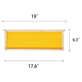 MayBee beeswax coated foundation supports quick natural comb building