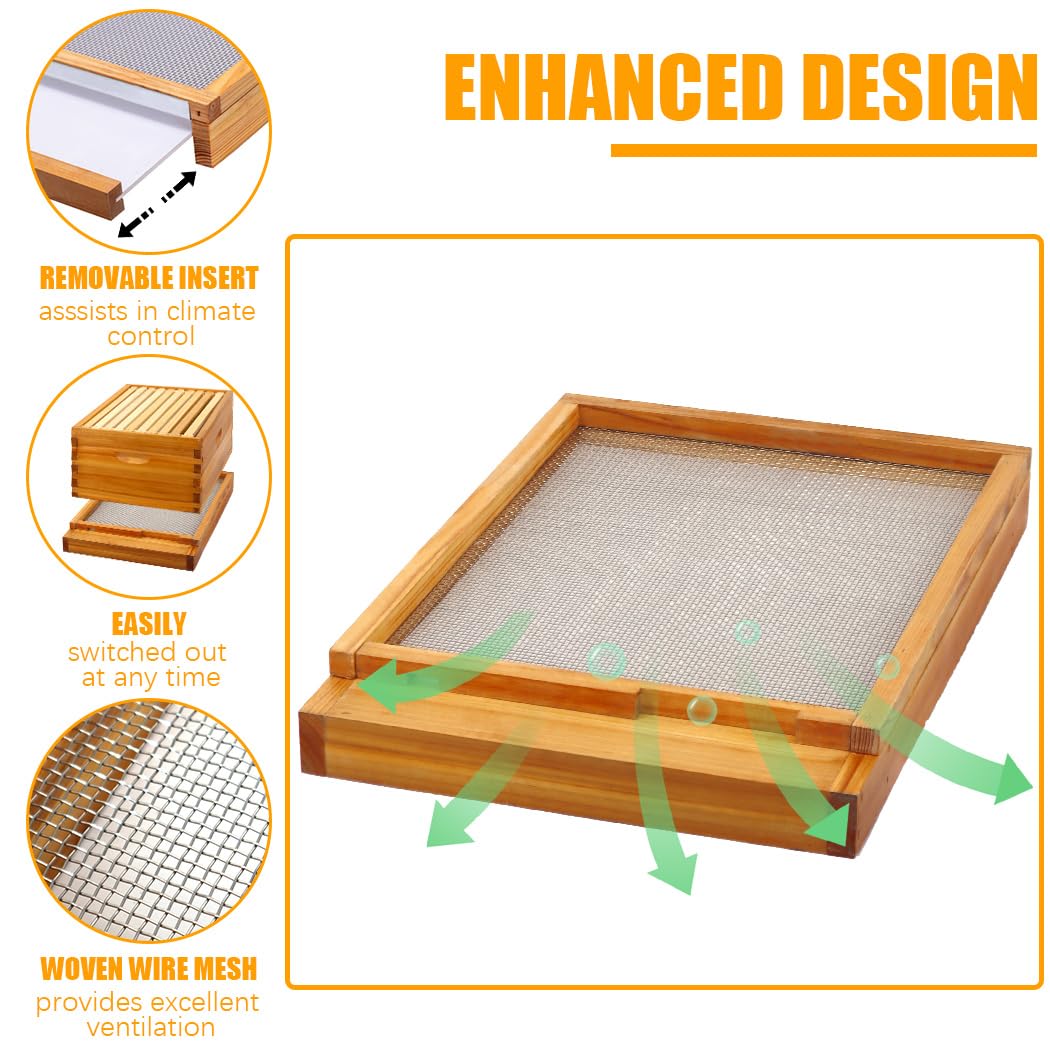 MayBee deep box with frames ready for expansion and durability