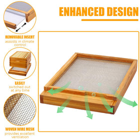 MayBee deep box with frames ready for expansion and durability