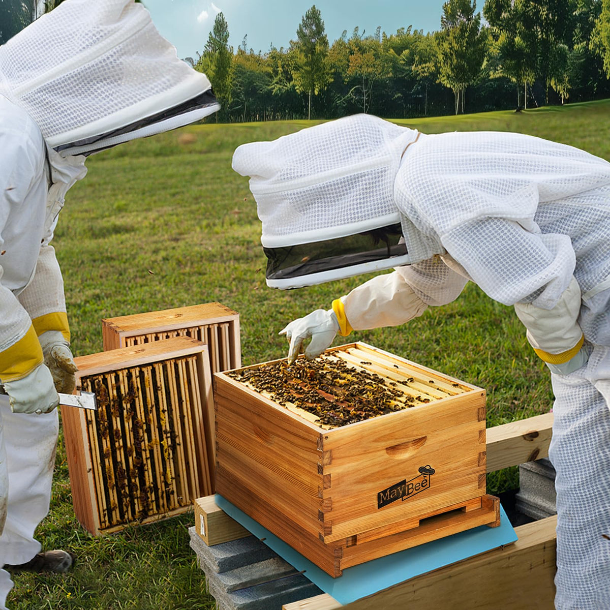 MayBee deep brood box—assembled and ready for hive installation