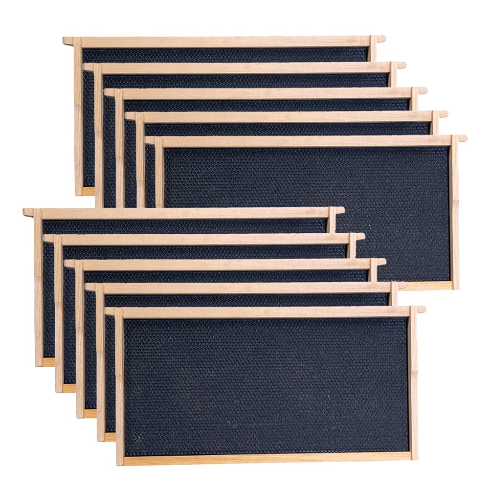 MayBee deep brood frame pack 10 ready for efficient hive setup.