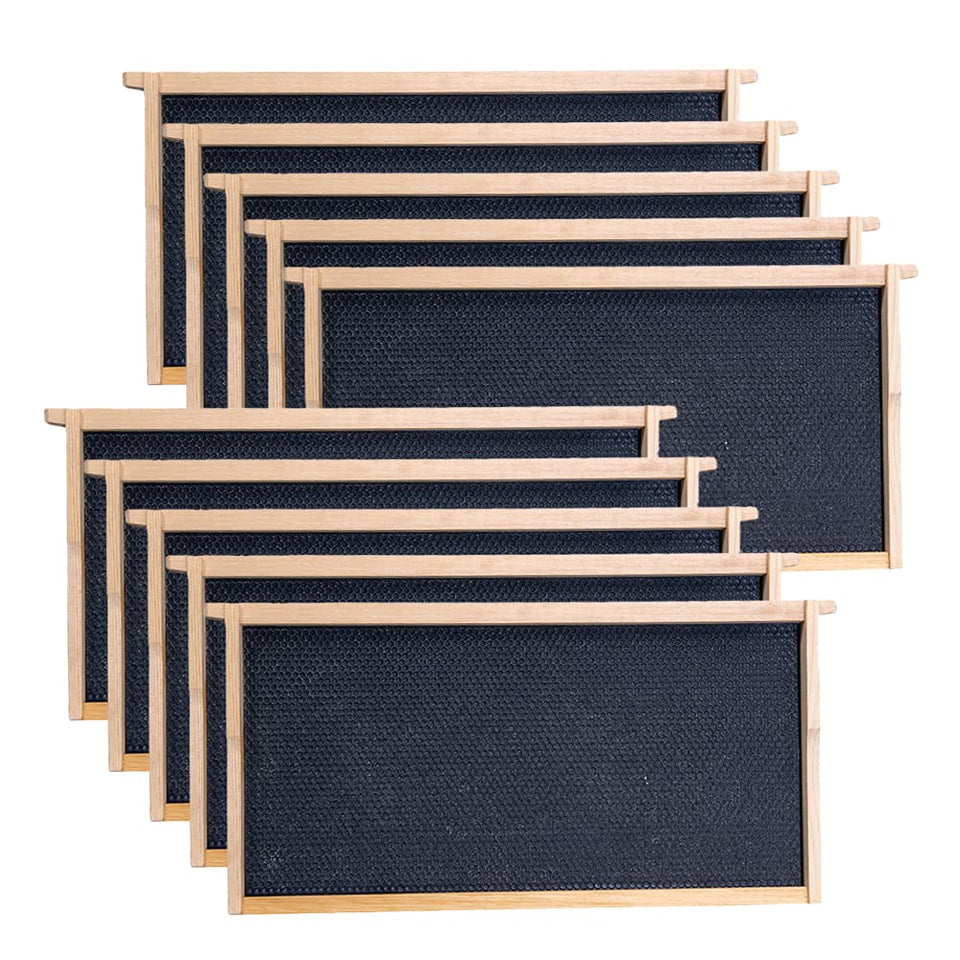 MayBee deep brood frame pack 10 ready for efficient hive setup.