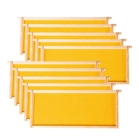 MayBee deep brood frame with beeswax foundation ready for rapid comb building.