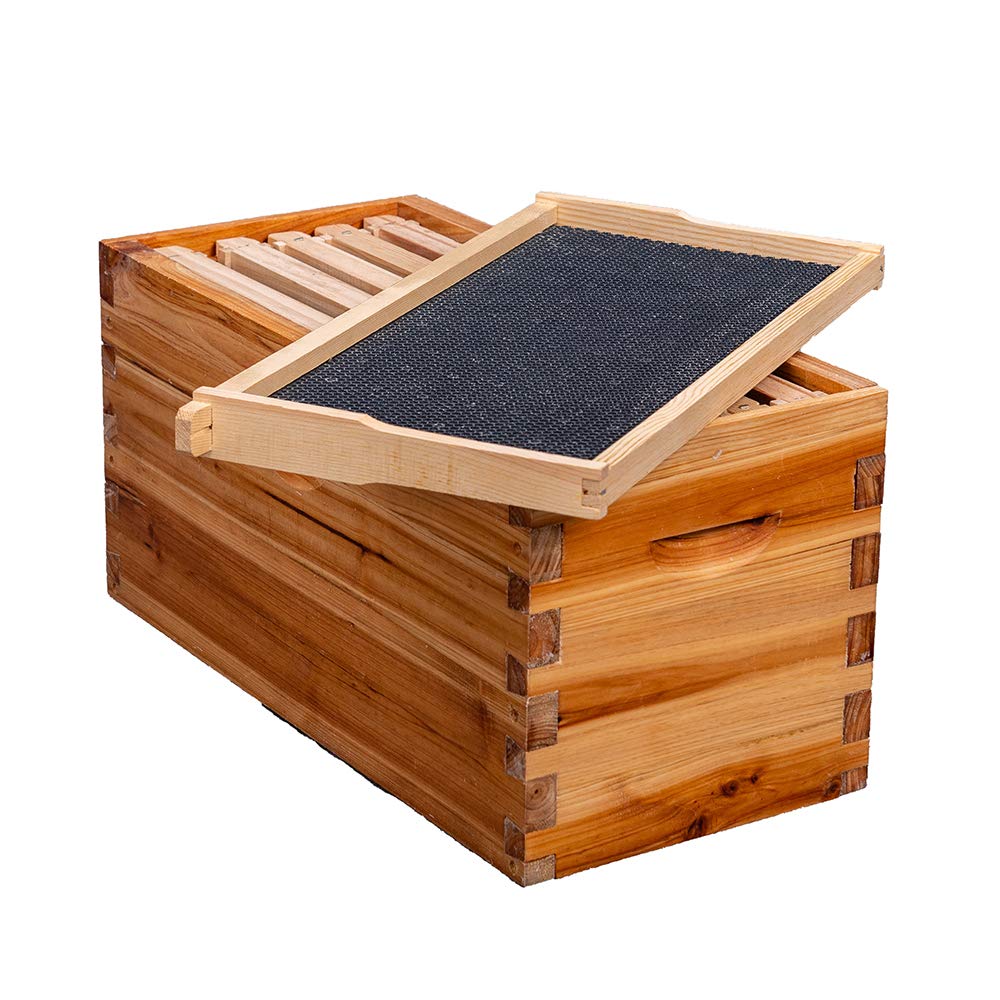 MayBee detachable bottom board with entrance reducer for easy cleaning