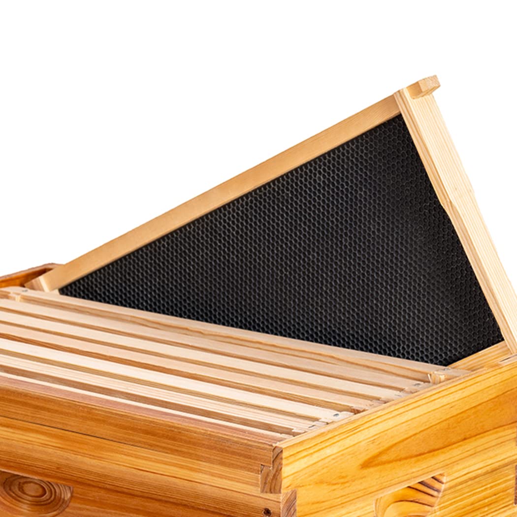 MayBee deep brood frame supports easy hive installation.