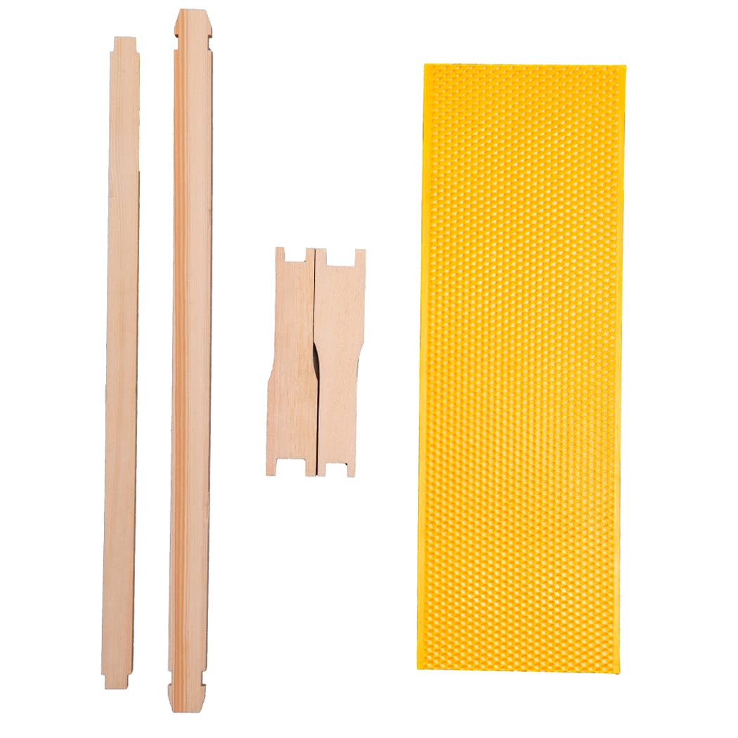 MayBee frame dimensions 6-1/4 by 19 by 1-3/8 inches for standard supers