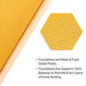 MayBee pinewood frame with polished edges for smooth hive handling