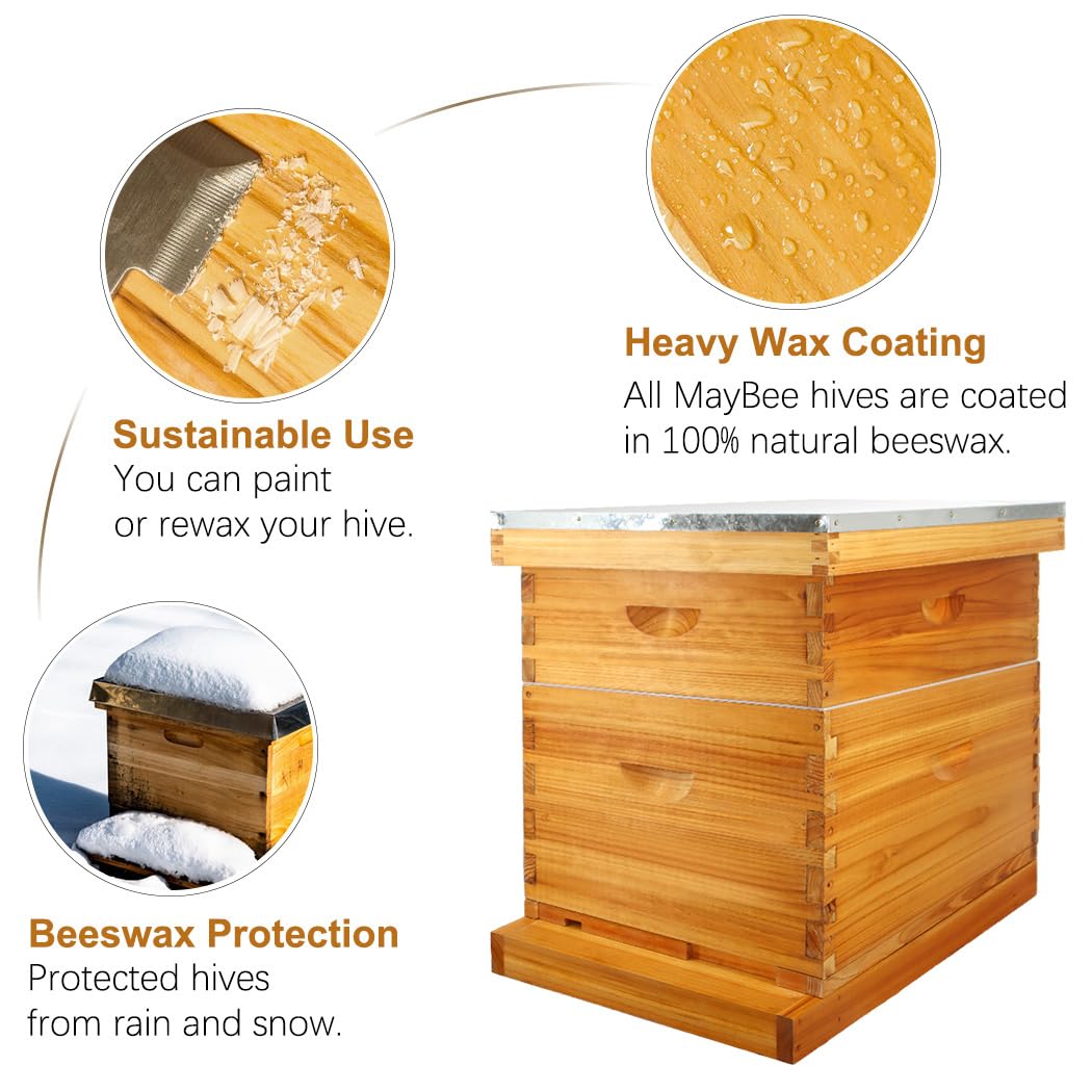 MayBee medium box with frames designed for organized beekeeping