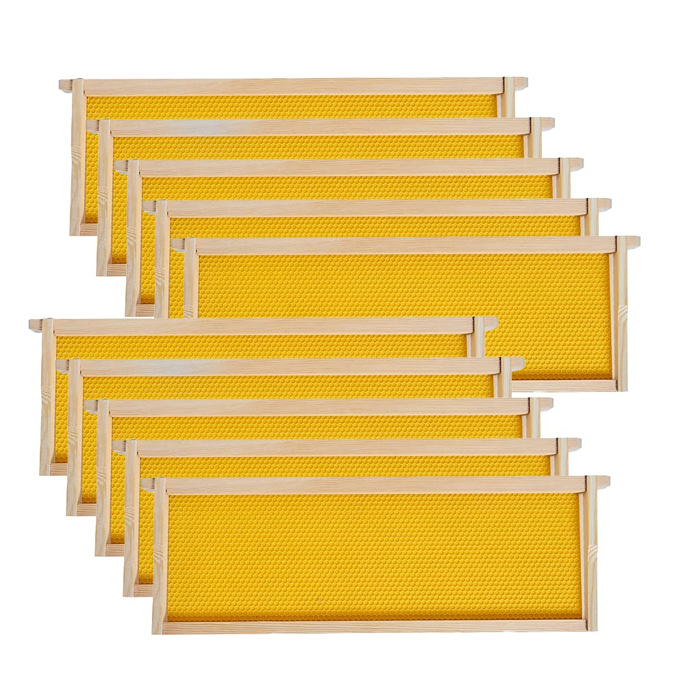 MayBee medium frame unassembled in a ten-pack for quick hive setup
