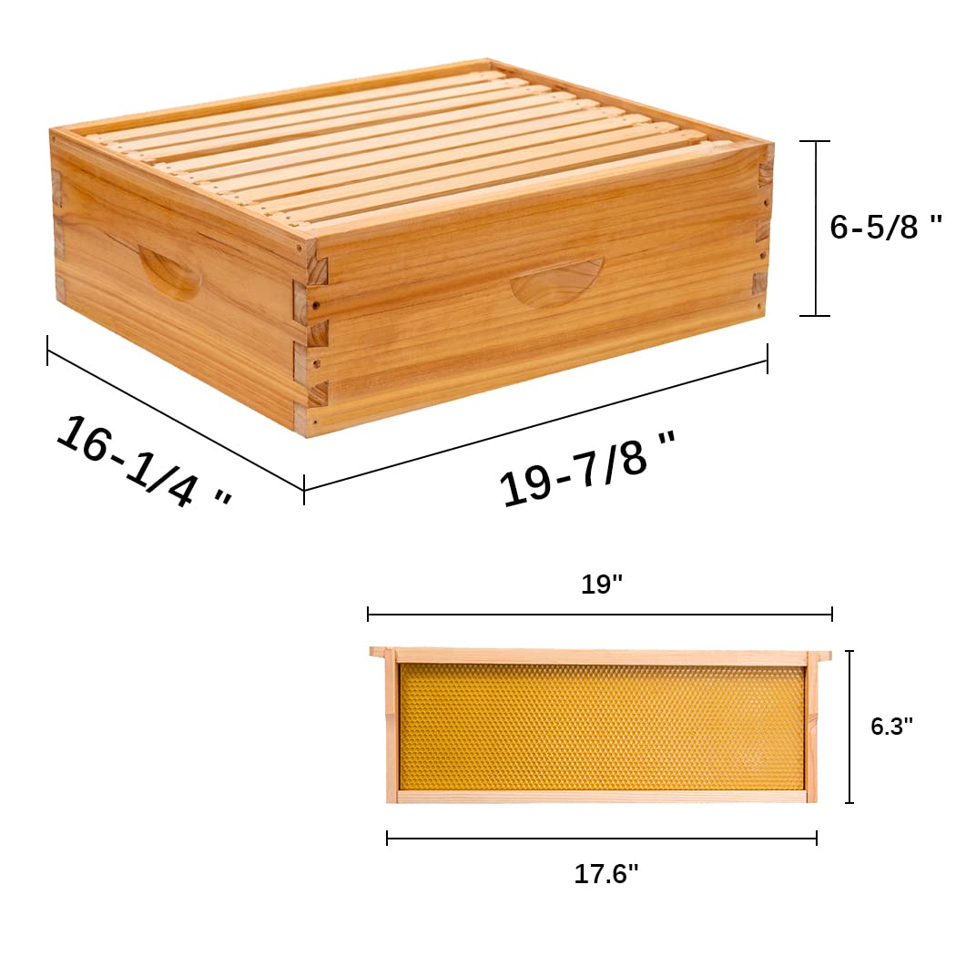 MayBee New Zealand pine frames provide sturdy support for brood and honey