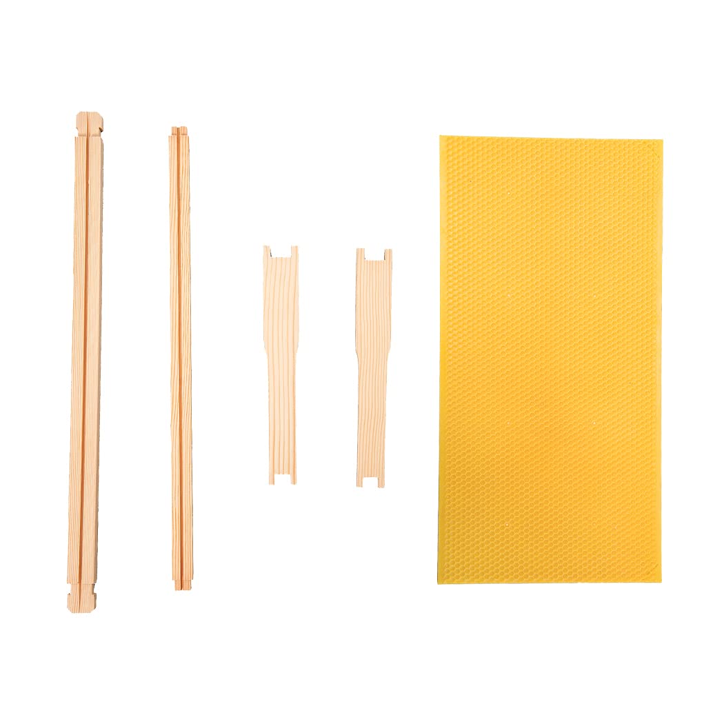 MayBee 10-pack packaging shown for convenient hive setup and storage.