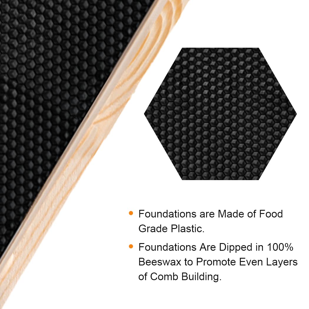 MayBee pinewood frame with polished edges for durable brood boxes.