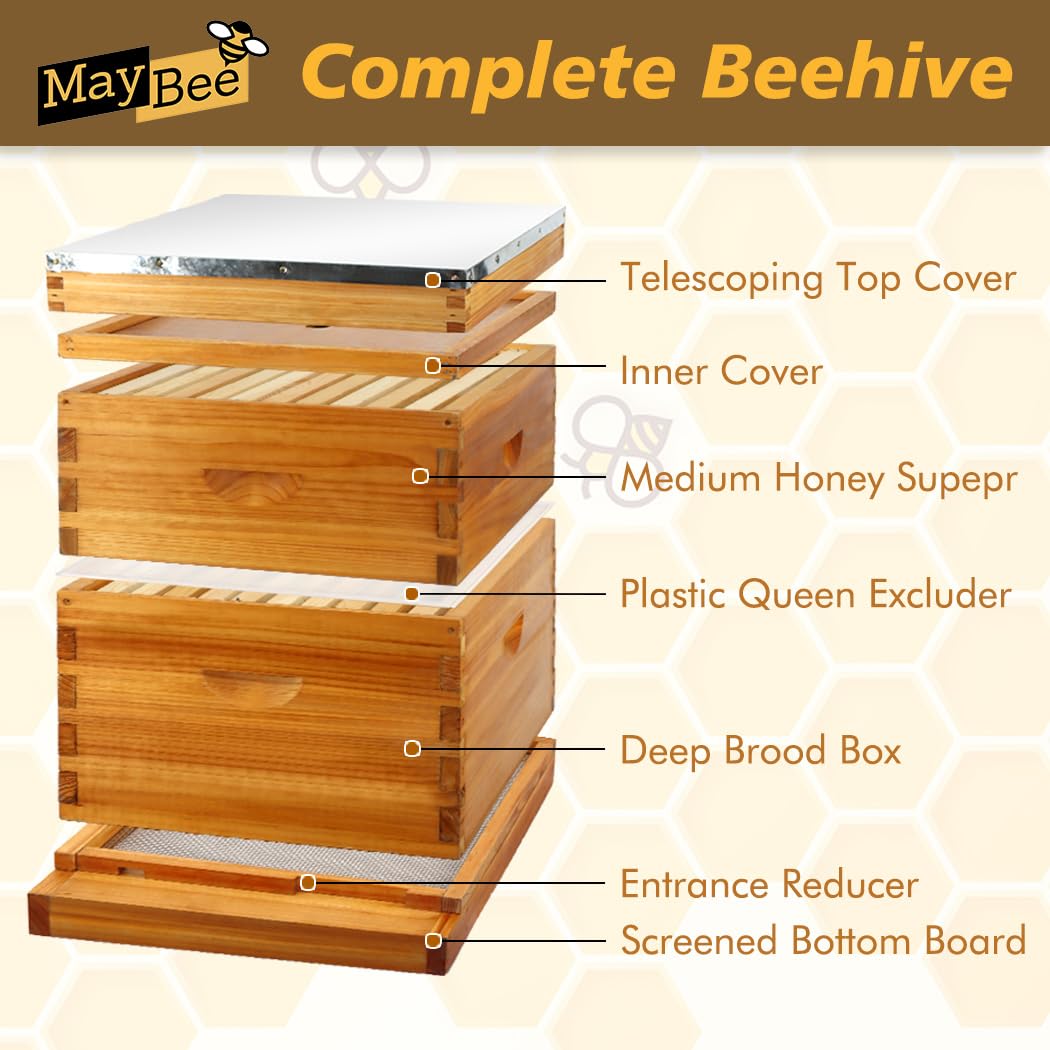 MayBee screened bottom board promoting hive ventilation and cooling