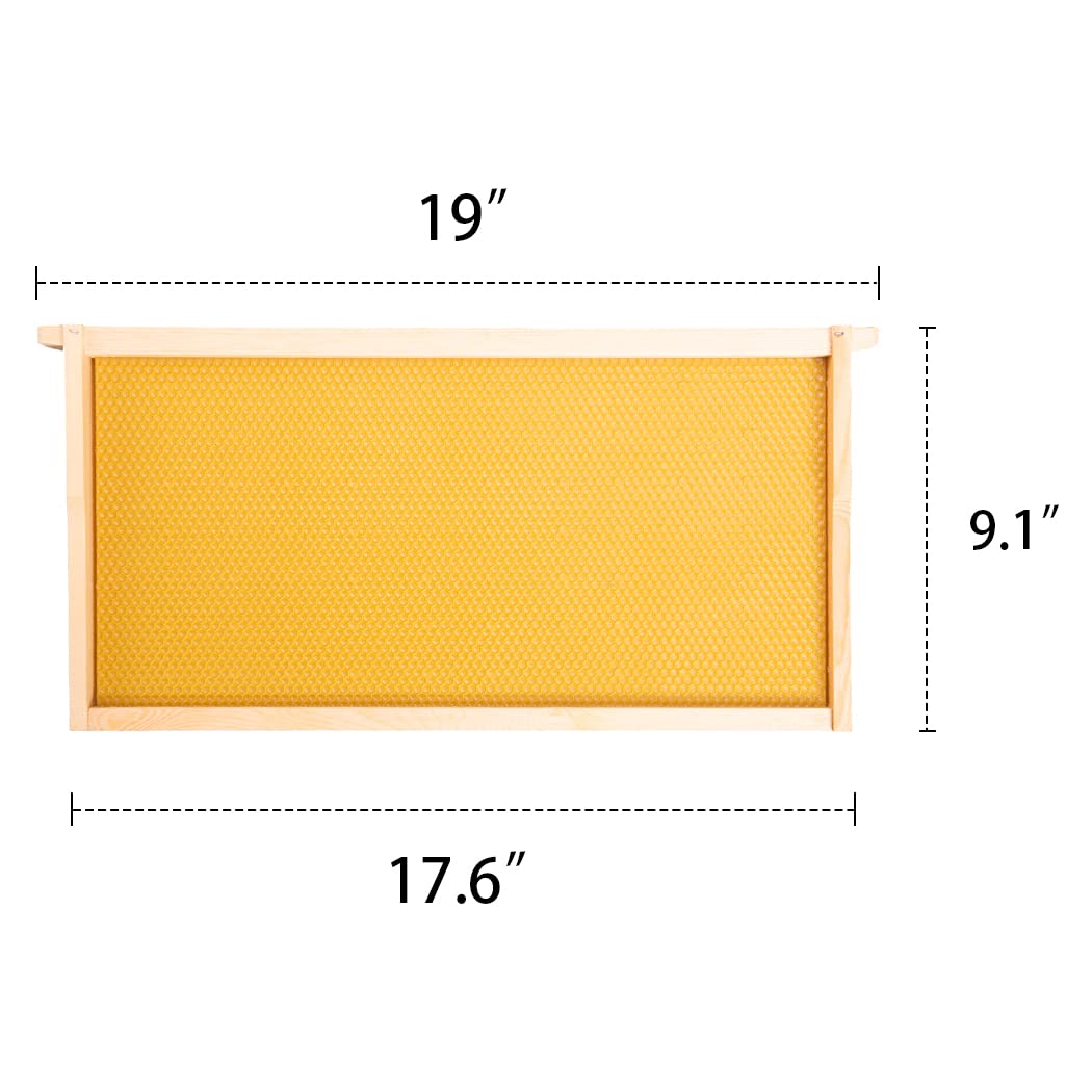 MayBee wax-dipped foundation supports natural comb building in hives.