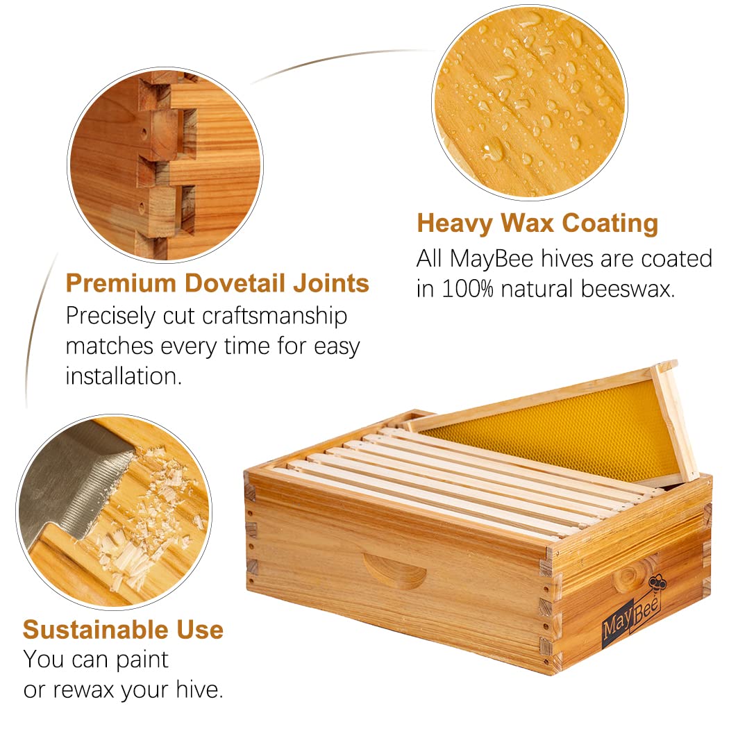 MayBee wax-dipped foundations for clean cell inspection and smoother comb development