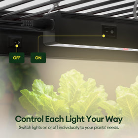 Maygrove T5 setup flexibility enables quick mounting on racks or side lighting