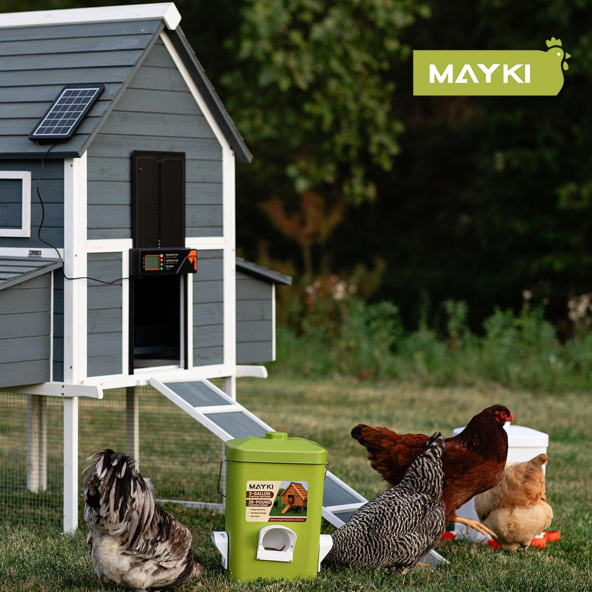 MAYKI outdoor durability supports year-round coop use