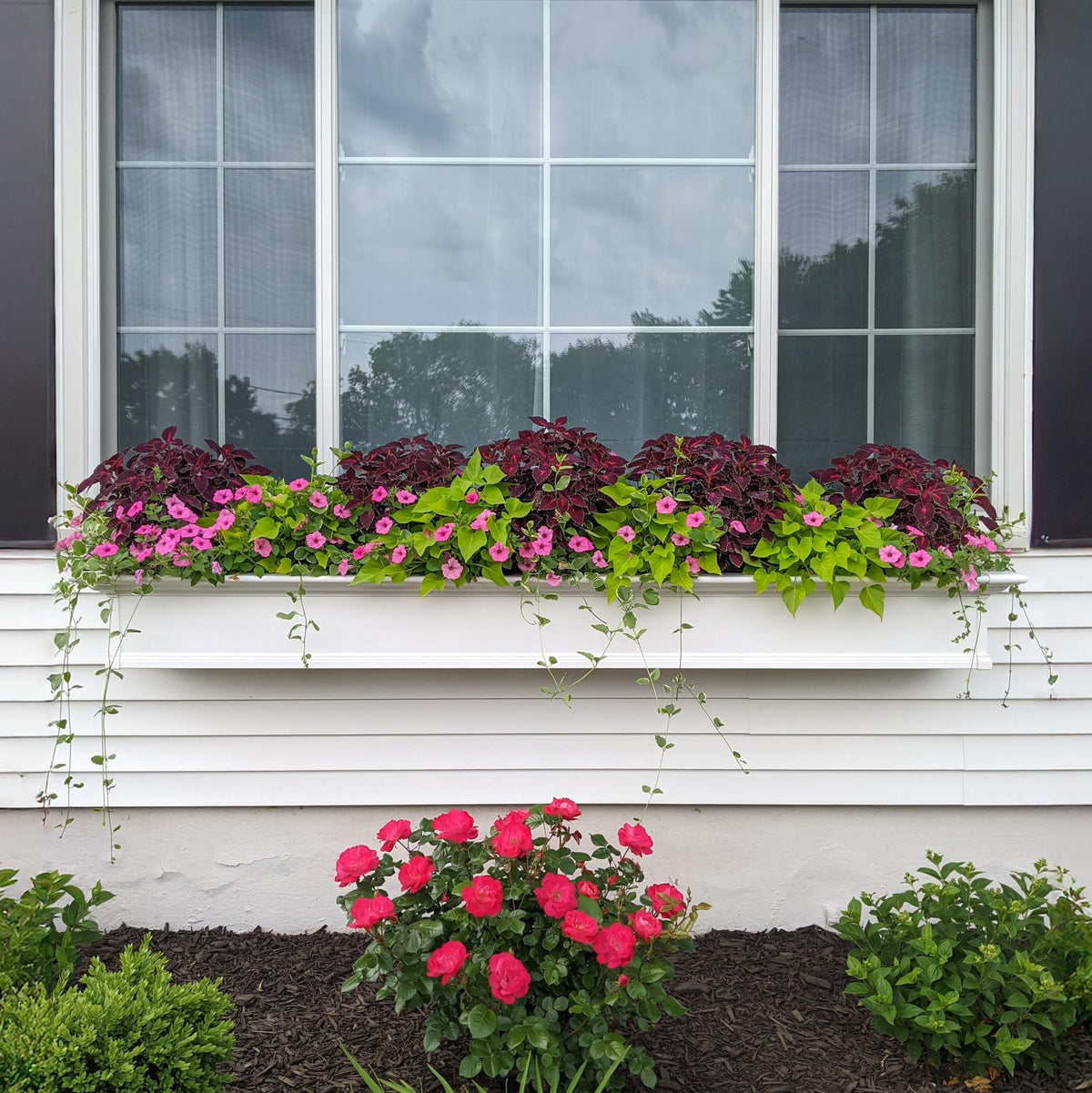 Mayne Yorkshire window box assembly image demonstrates a quick, user-friendly setup.
