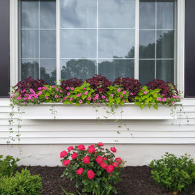 Mayne Yorkshire window box assembly image demonstrates a quick, user-friendly setup.