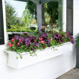 Mayne Yorkshire window box interior reservoir shot emphasizes self-watering convenience for plants.