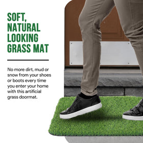 MAYSHINE dog turf for patios demonstrates quick-clean outdoor setup.