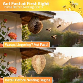 Mazholoths outdoor protection for patio and deck areas against wasps.