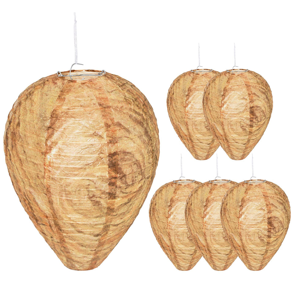 Mazholoths six-pack paper wasp nests hanging, deterring wasps from patios safely.