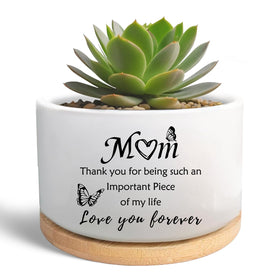 MBRUH succulent pot with ceramic pattern showing a stylish white glaze.