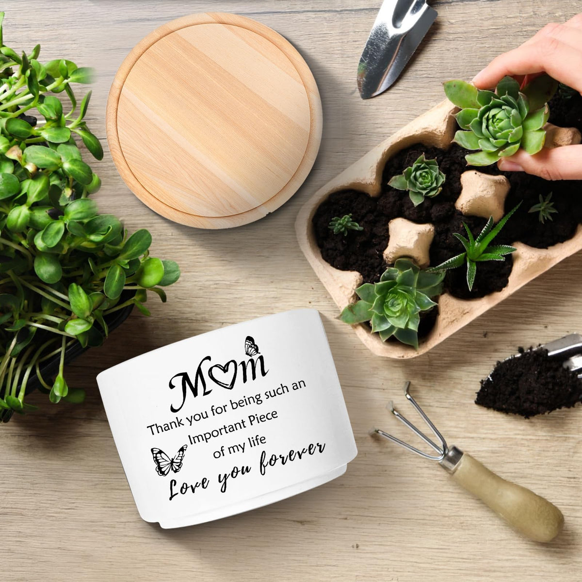 MBRUH wood saucer and ceramic pot demonstrating drainage protection.