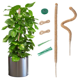 Mcbazel bendable moss pole 27.5 inch supports Monstera climbing for lush growth.
