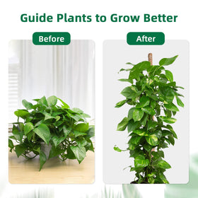 Mcbazel coco coir texture showcases breathable, moisture-retentive material for healthy aerial roots.